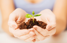 Soil Environmental Quality Assessment