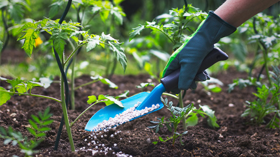 Fertilizer Products Testing